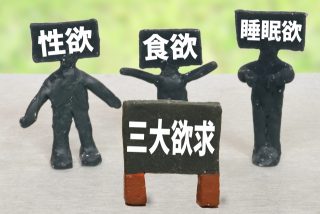 食欲・睡眠欲・「排泄欲」！性欲も結局“出す”欲求では？
