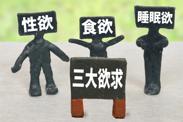 食欲・睡眠欲・「排泄欲」!性欲も結局“出す”欲求では?