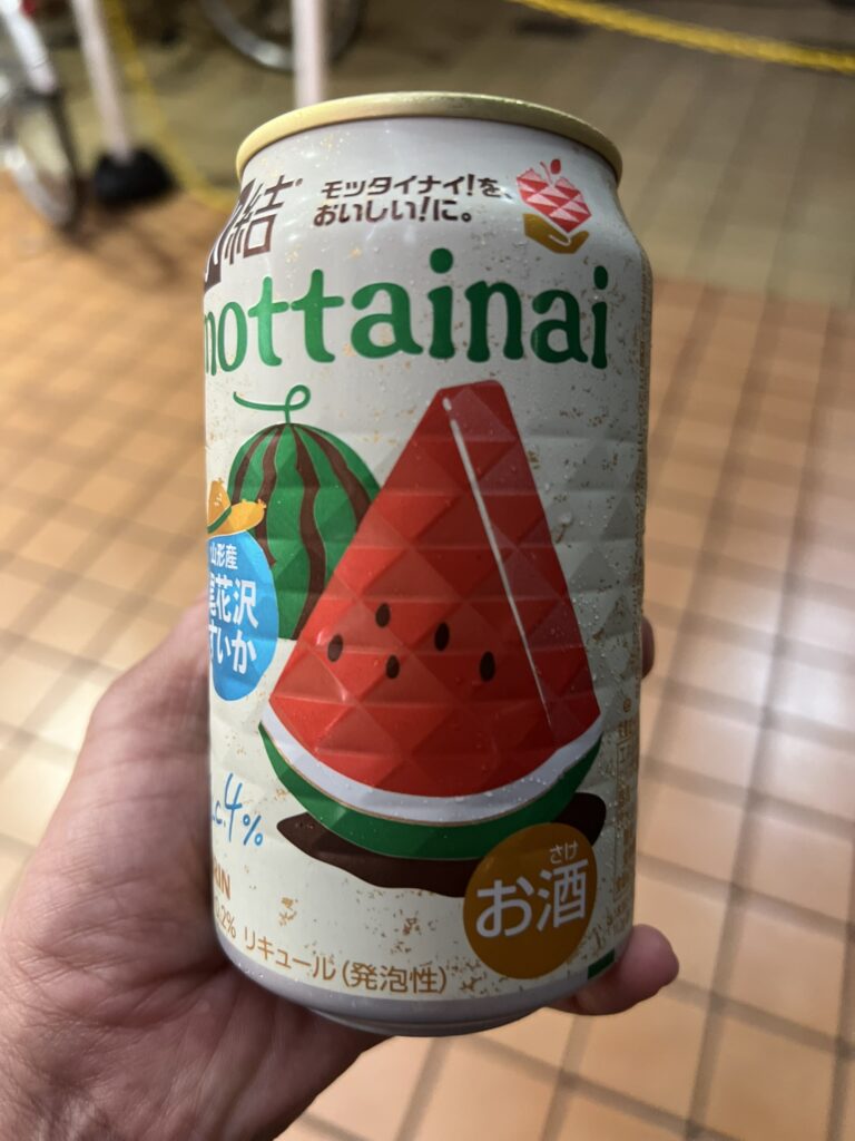ローカル線の最終電車とホームでのひととき