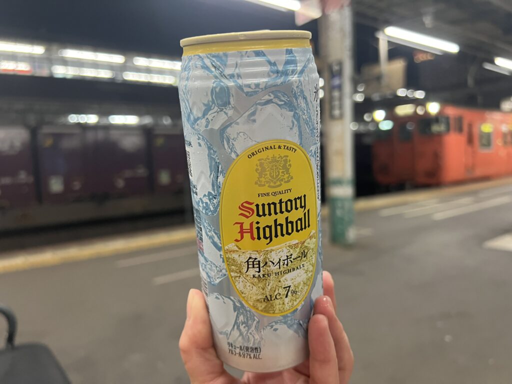ローカル線の最終電車とホームでのひととき
