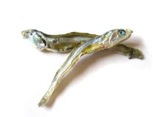 40代後半からの“検証と改善”が未来を変える