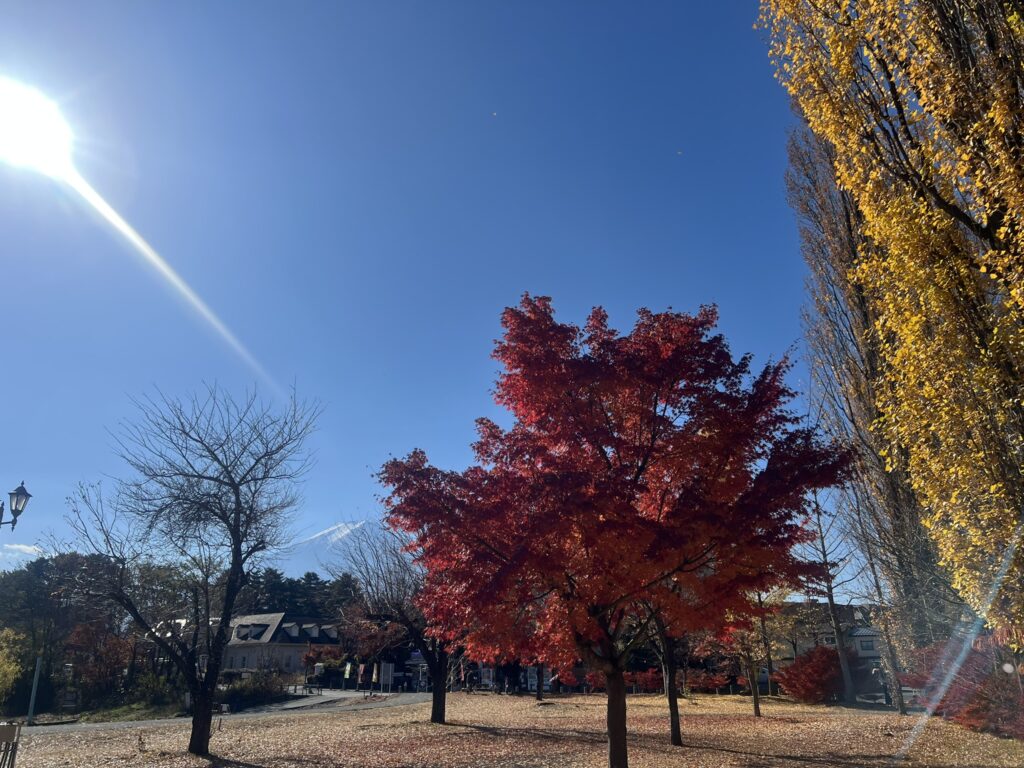 1人より、誰かと一緒がいい。旅が教えてくれた幸せの法則