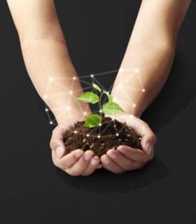 成長しました！発言は大丈夫か？