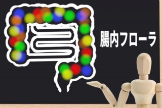 睡眠×腸活セミナーで伝えたかったこと