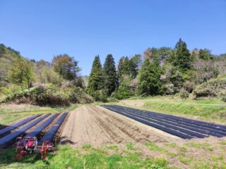 成長には「ちょっとの負荷」が必要です