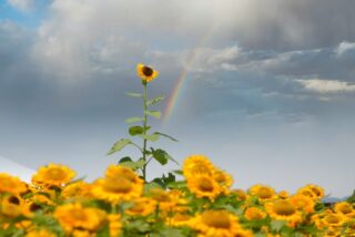 選択肢のある人生は自分でつくるしかない！