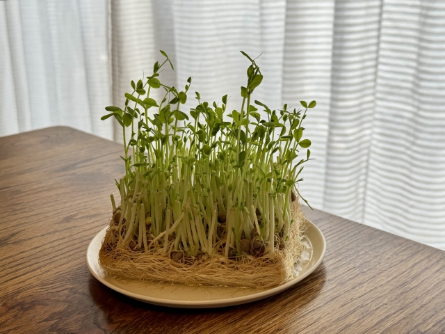 リーダー不在は成長企業の共通課題